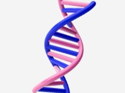 遺伝子検査キッド - Circle DNA