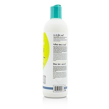 No-Poo Decadence (Zero Lather Ultra Moisturizing Milk Cleanser - For Super Curly Hair)  355ml/12oz