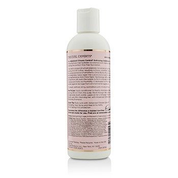 Advanced Climate Control Defrizzing Conditioner (All Curl Types) 250ml/8.5oz