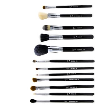 Essential Kit Professional Brush Collection  12pcs