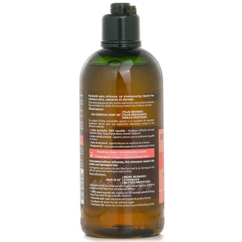 Aromachologie Champú Reparador Intensivo (Cabello Dañado)  300ml/10.1oz