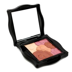 Anna Sui Трояндові Рум'яна - № 500 6g/0.21oz