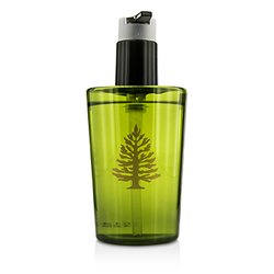 Thymes Frasier Fir Hand Wash 240ml/8.25oz