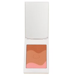 Sisley Phyto Touche Sun Glow Polvo Con Brocha - # Trio Miel Cannelle 11g/0.38oz