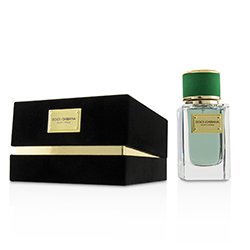 Dolce & Gabbana Velvet Cypress أو دو برفوم سبراي 50ml/1.7oz