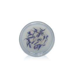Smoothing Cornflower Petals