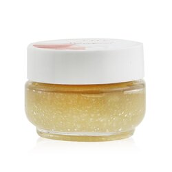 Farmhouse Fresh Lip Polish - Whoopie 20.5g/0.72oz