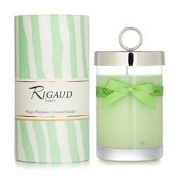 Jasmin De Printemps