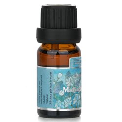 Midnight Jasmine