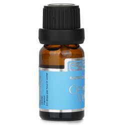 Ocean Mist