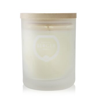 Scented Candle - Aroma Focus  Scented Candle
