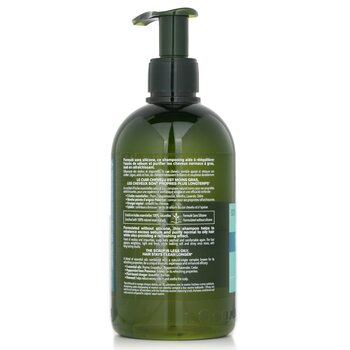 Aromachologie Champú Frescura Purificante (Cabello Normal a Graso)  500ml/16.9oz
