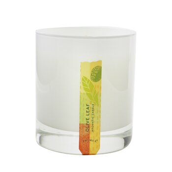 Aromatic Candle - Olive Leaf  212g/7.5oz