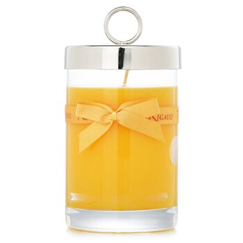 Rigaud Ароматна свещ - # Tournesol 230g/8.11 oz