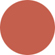 color swatches Shiseido Lacquer Rouge - # RD309 (Carnelian)