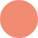 538 Dior Glitz (Glitterly Coral)