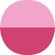 578 Shock Fuchsia