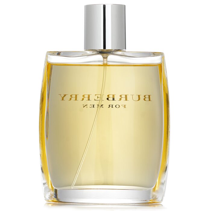 Burberry Burberry Eau De Toilette Spray 100ml/3.3ozProduct Thumbnail