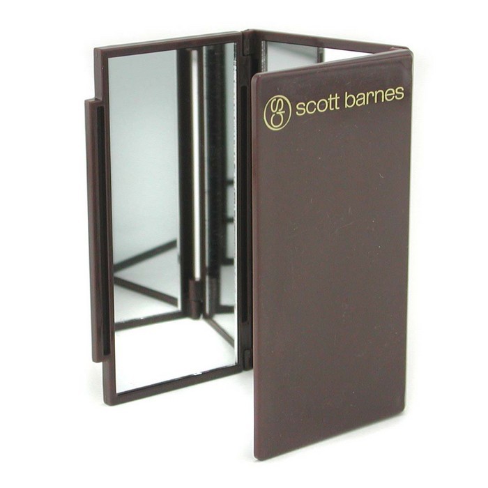 Scott Barnes Flipout Mirror Picture ColorProduct Thumbnail