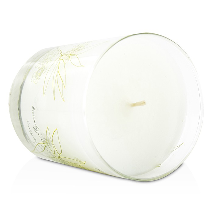 Thymes Aromatic Candle - Eucalyptus 255g/9ozProduct Thumbnail