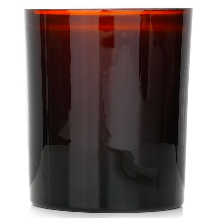 Diptyque Scented Candle - Ambre (Amber) 300g/10.2ozProduct Thumbnail