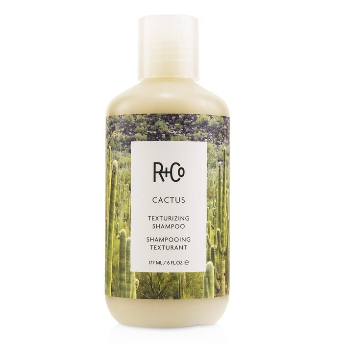 R+Co Cactus Texturizing Shampoo 177ml/6ozProduct Thumbnail