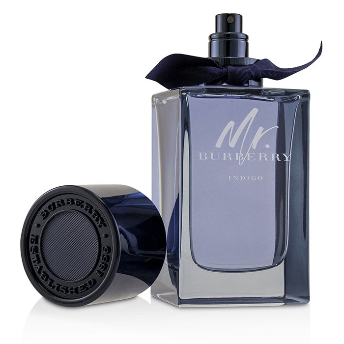 Mr burberry indigo online 100ml price