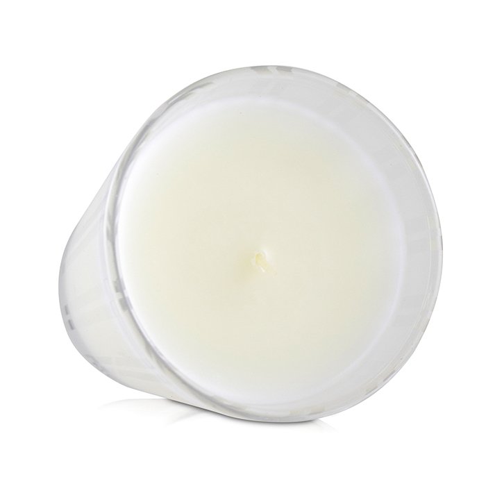 Nest Scented Candle - White Camellia 230g/8.1ozProduct Thumbnail