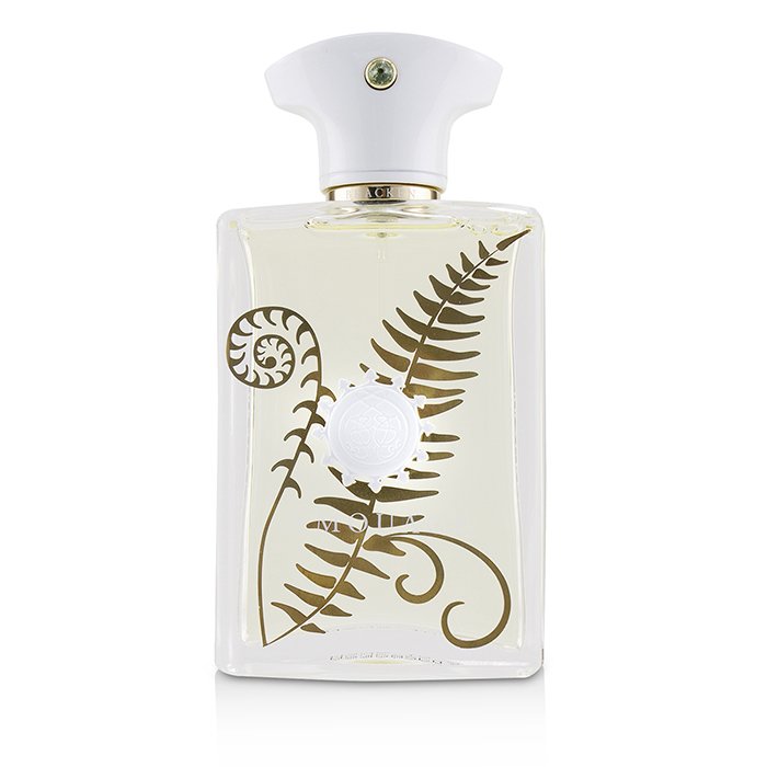 Amouage Bracken Eau De Parfum Spray 100ml/3.4ozProduct Thumbnail