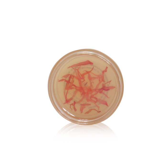 Darphin Petal Infusion Lip And Cheek Tint 5.5g/0.19ozProduct Thumbnail