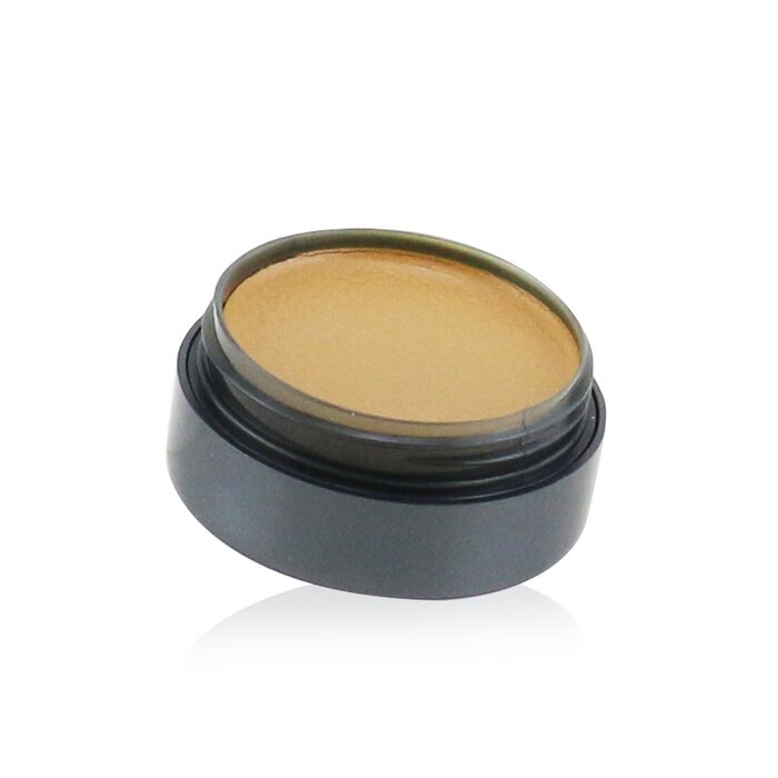 Cinema Secrets Ultimate Corrector Singles 7g/0.25ozProduct Thumbnail