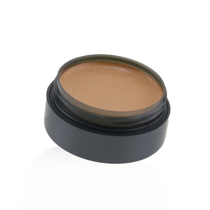 Cinema Secrets Ultimate Corrector Singles 7g/0.25ozProduct Thumbnail