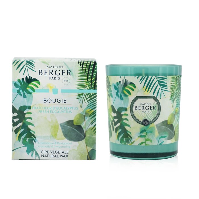 Lampe Berger (Maison Berger Paris) Scented Candle - Fresh Eucalyptus 240g/8.4ozProduct Thumbnail