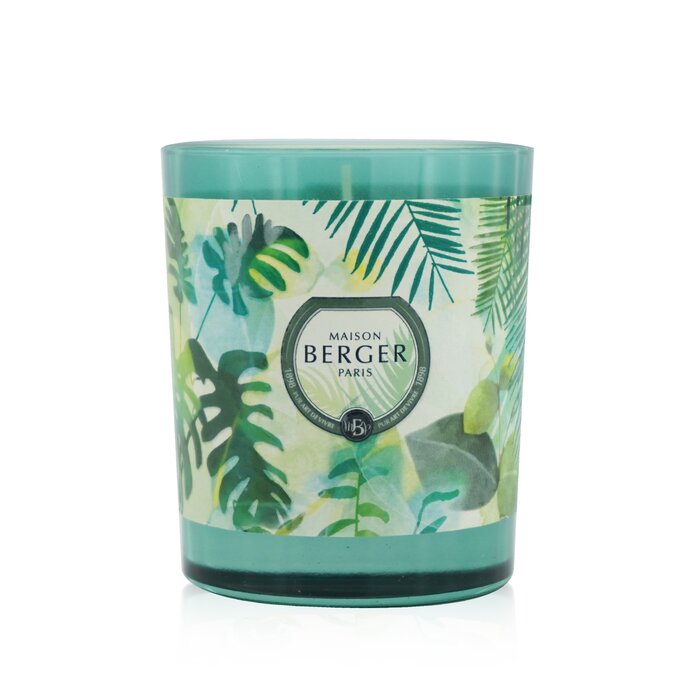 Lampe Berger (Maison Berger Paris) Scented Candle - Fresh Eucalyptus 240g/8.4ozProduct Thumbnail