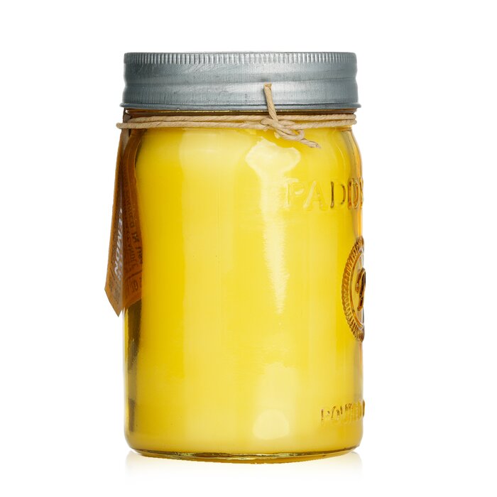Paddywax Relish 香氛蠟燭 - Fresh Meyer Lemon 269g/9.5ozProduct Thumbnail