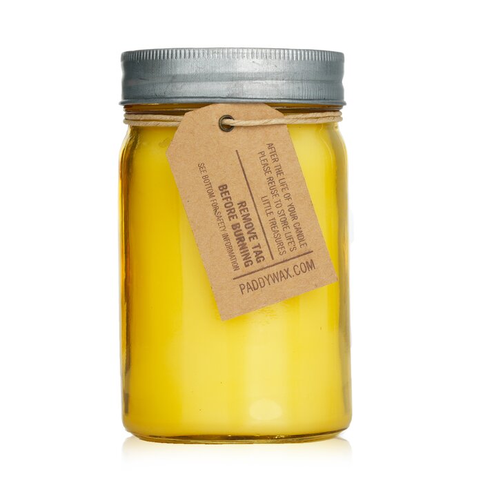 Paddywax Relish 香氛蠟燭 - Fresh Meyer Lemon 269g/9.5ozProduct Thumbnail