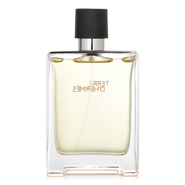 Hermes Terre D'Hermes Eau De Toilette Spray 100ml/3.4ozProduct Thumbnail