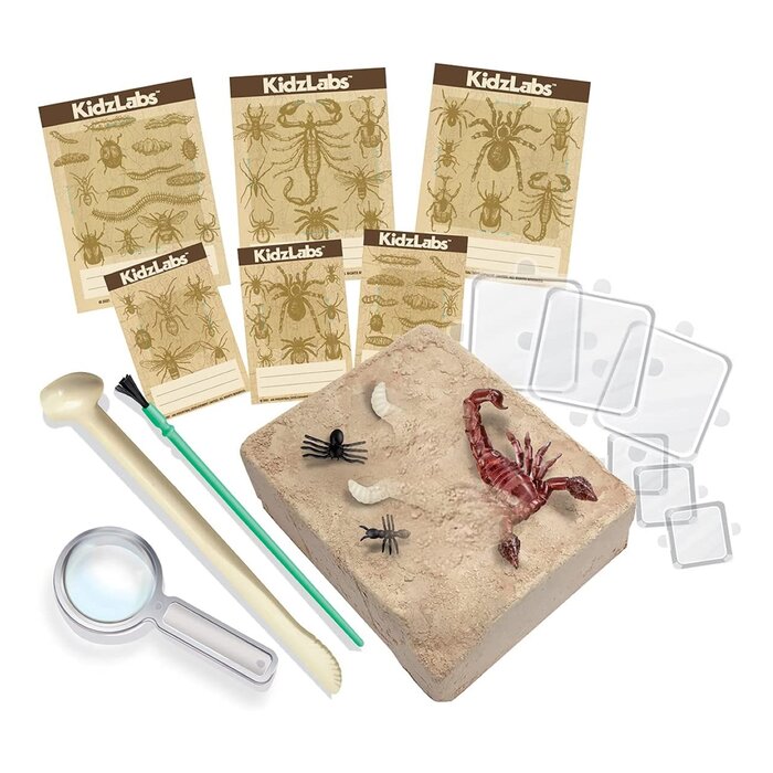 4M KidzLabs/Creepy Crawly Digging Kit 22x17x6cmProduct Thumbnail