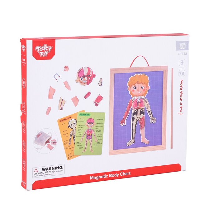 Tooky Toy Co Body Magnetic Chart 30x40x1cmProduct Thumbnail