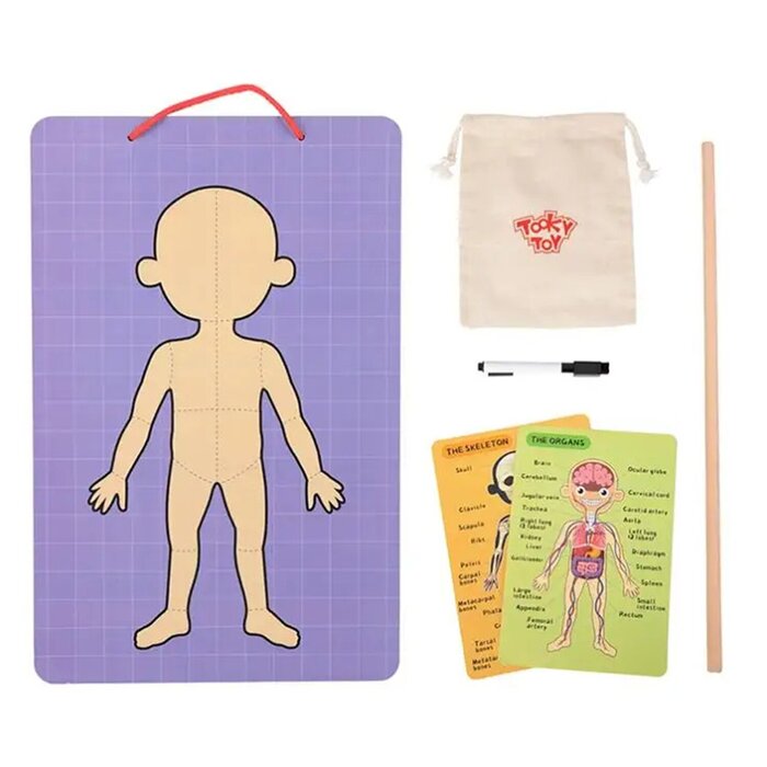 Tooky Toy Co Body Magnetic Chart 30x40x1cmProduct Thumbnail