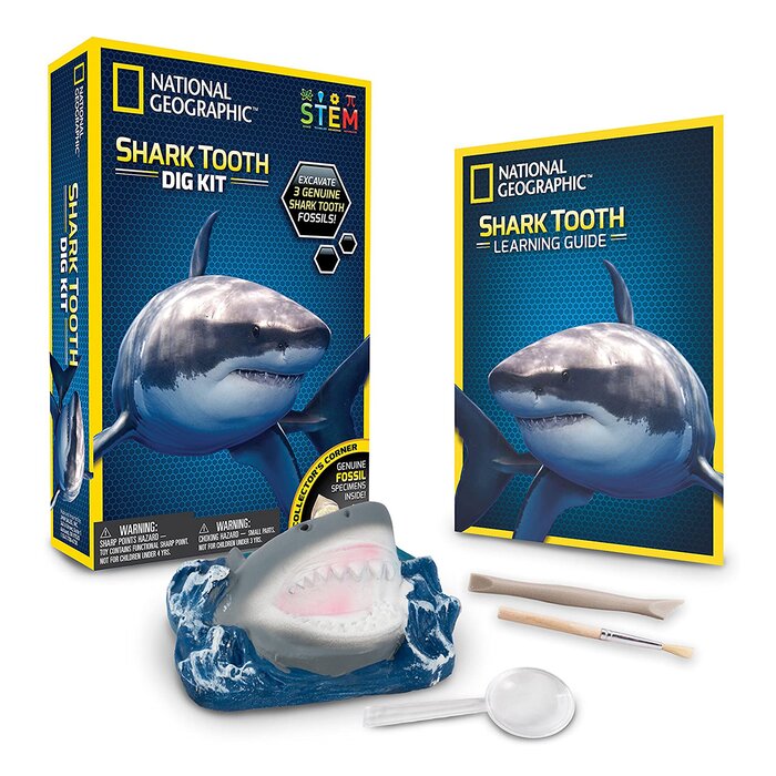 National Geographic National Geographic Shark Tooth Dig Kit 18 x 6 x 25cmProduct Thumbnail
