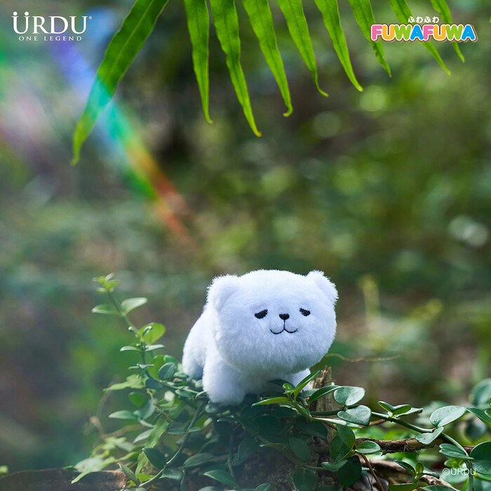 Urdu URDU FUWAFUWA PART 2-BEAR (BOX OF 5) 11 x 9 x 12.5cmProduct Thumbnail