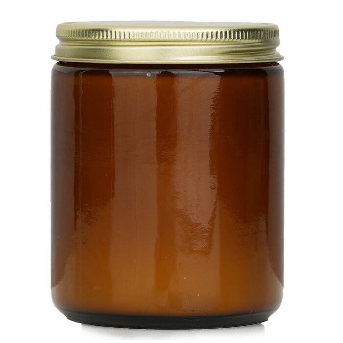 P.F. Candle Co. Soy Candle - Wild Herb Tonic 99g/3.5ozProduct Thumbnail