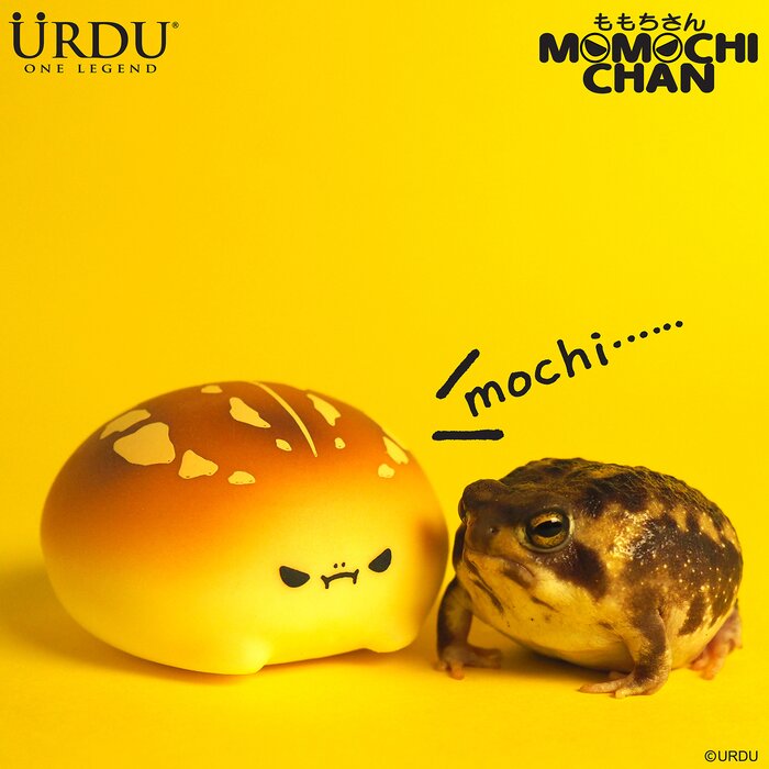 Urdu Momochichan - (Case of 6 Blind Boxes) 25x11x13cmProduct Thumbnail