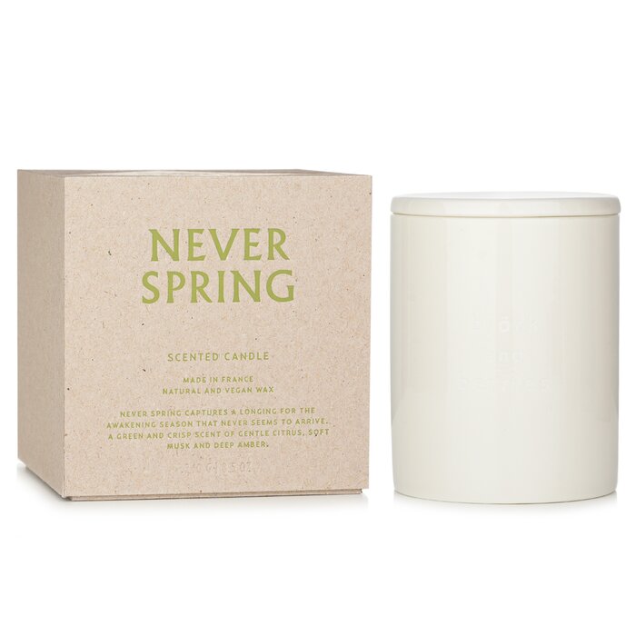 Bjork & Berries Scented Candle - Never Spring 240g/8.5ozProduct Thumbnail