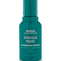 Aveda 艾凡達 Botanical Repair Strengthening Shampoo