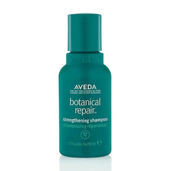 Aveda 艾凡達 Botanical Repair Strengthening Shampoo (NEW)