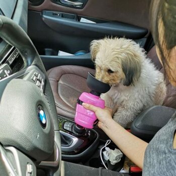 LESOTC Portable Pet Water Bottle for Dogs - Pink  