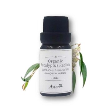 Aster Aroma Organic Eucalyptus Radiata Essential Oil 10ml Fixed Size