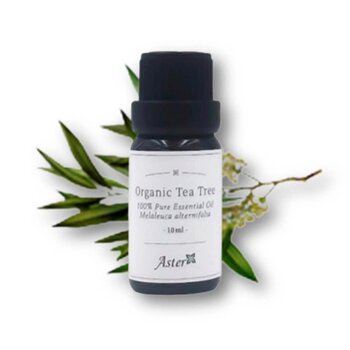Aster Aroma Organic Tea Tree Essential Oil 10ml Fixed Size